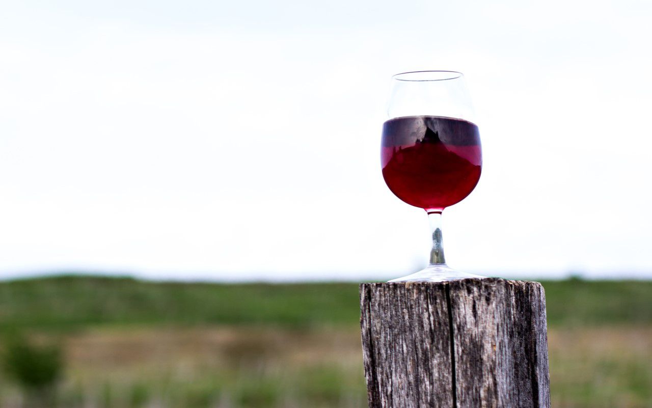 Health benefits of wine